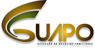 logo Guapo Consultoria Familiar